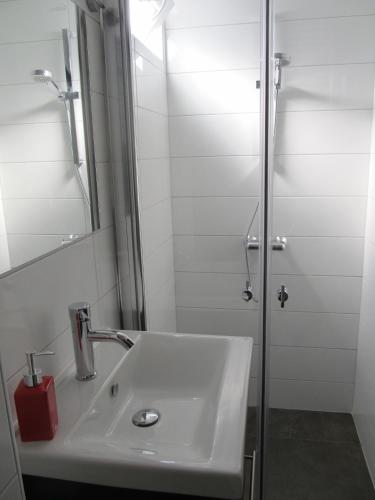a bathroom with a sink and a shower at B&B Het Bakhuis in Loenen