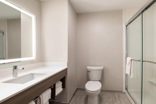 a bathroom with a toilet and a sink and a shower at Holiday Inn Express & Suites Opelousas by IHG in Opelousas