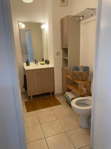 une salle de bain avec toilettes, lavabo et miroir dans l'établissement Studio cosy tout équipé 30m2, à Nice