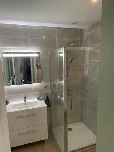 een badkamer met een douche, een wastafel en een spiegel bij Gite d Annie et J-louis 