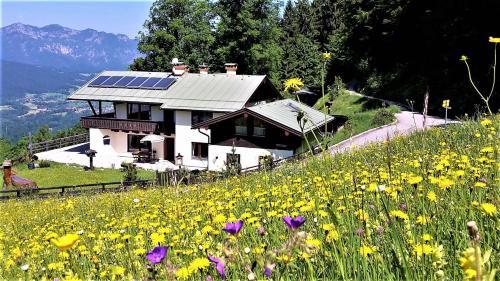 Bergpanorama und atenberaubende alpine Almlandschaft 3 - Nichtraucherdomizil