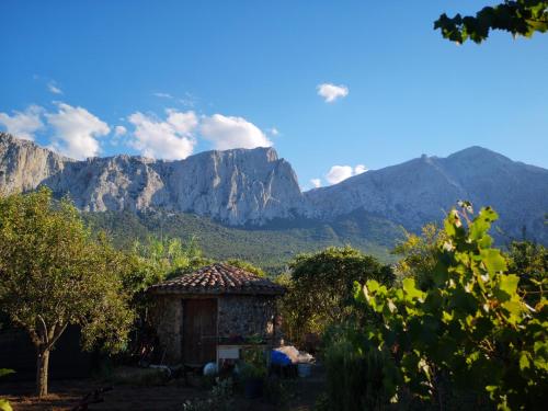 Φυσικό τοπίο κοντά σε αυτό το διαμέρισμα
