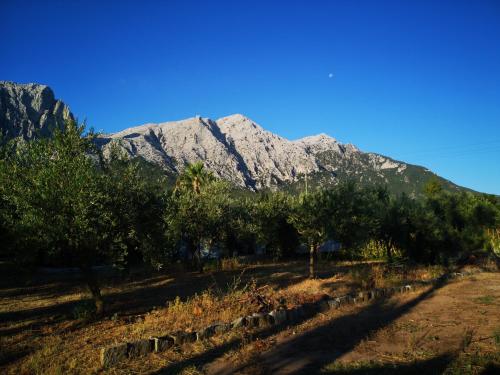 Φυσικό τοπίο κοντά σε αυτό το διαμέρισμα