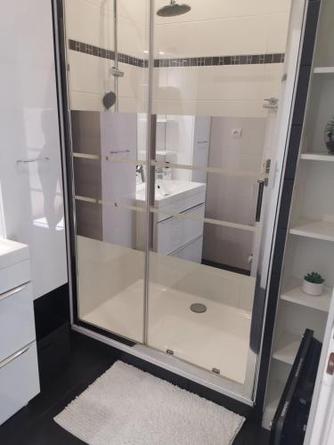 a shower with a glass door in a bathroom at Idéal long séjour, Souvenirs de Provence,T2 classé, vue sur les montagnes, toutes commoditées! in Digne-les-Bains
