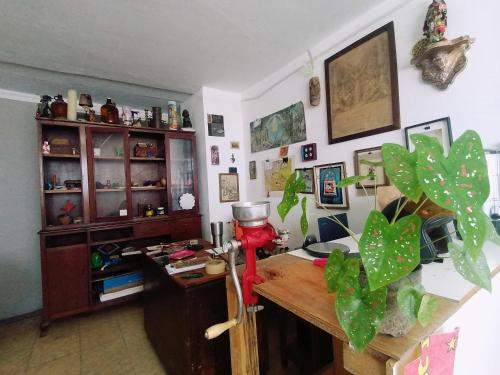 un ufficio in frantumi con una scrivania e una pianta di Casa Tewa a San Luis Potosí