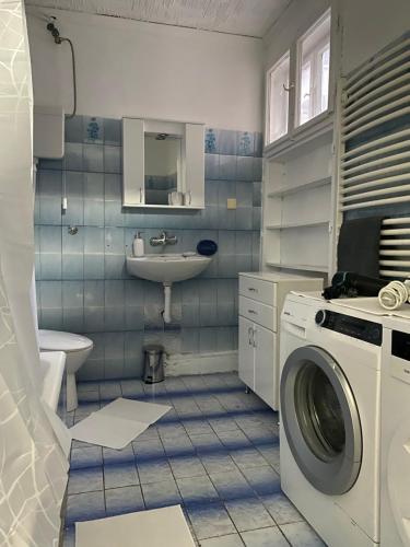 a bathroom with a washing machine and a sink at Belgrade centrum in Karaburma