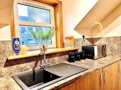 a kitchen counter with a sink and a microwave at Stylish North Spring Exec One Bedroom Apartment in Aberdeen