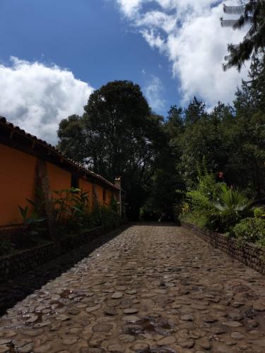 a cobblestone road with trees on the side of a building at Cabañas y habitaciones Los Cedros in Zacatlán