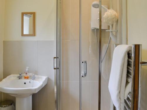 a bathroom with a shower and a sink at Bryn Ysgol in Yspytty-Ifan