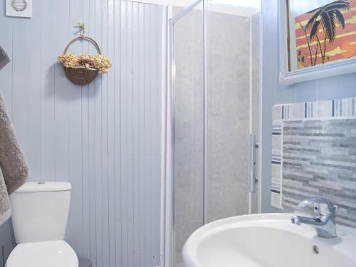 een badkamer met een toilet, een wastafel en een douche bij Twit Too Woo - Uk6760 in Cenarth