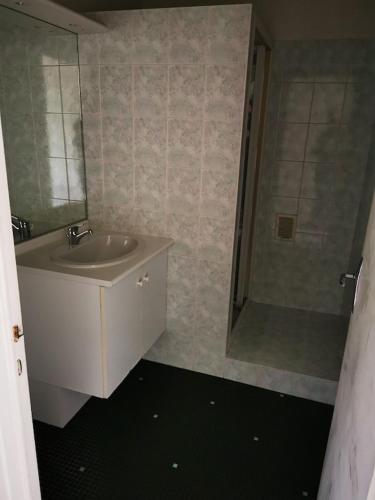 La salle de bains est pourvue d'un lavabo et d'une douche. dans l'établissement Beau T1 Spacieux, Proche Centre et lac, à Annecy