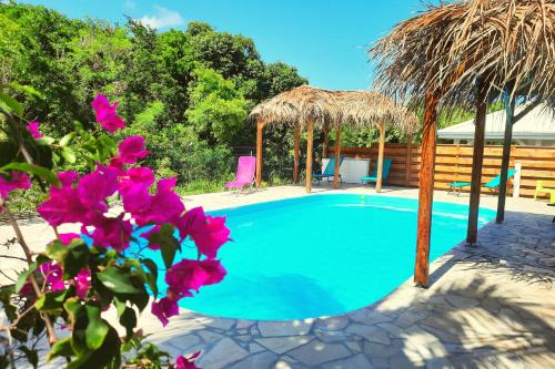 a swimming pool with a straw umbrella and pink flowers at Gîte Cannelle in Saint-François