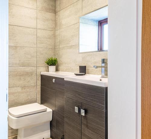 a bathroom with a toilet and a sink and a mirror at No1 Little Barrow Barns - Sleeps 10 in Chester