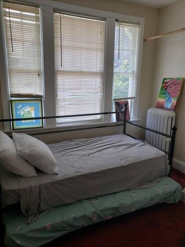 a bedroom with a bed in a room with windows at D.C.'s Brookland house Pets are Welcome! in Washington, D.C.