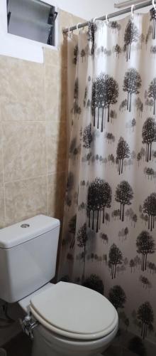 La salle de bains est pourvue de toilettes et d'un rideau de douche. dans l'établissement Monoambiente excelente ubicación no mascotas, à Mendoza