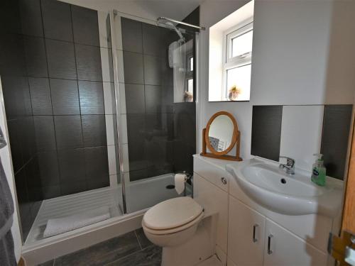 a bathroom with a shower and a toilet and a sink at Orchard Farm Cottage in Barnby