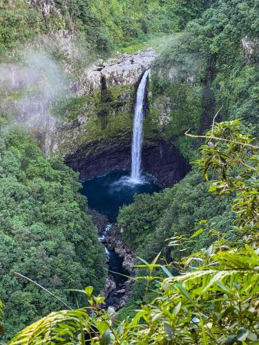 a waterfall in the middle of a jungle at Villa Kazabona Saint-Pierre centre - Chambres d'hôte in Saint-Pierre