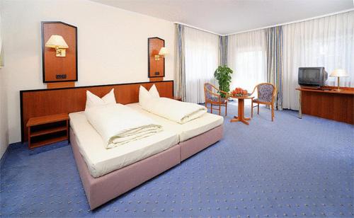 Habitación de hotel con cama grande y TV en Hotel Grasbrunner Hof, en Grasbrunn
