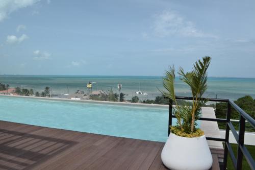 a palm tree in a white pot sitting on a balcony at Estudio Neen Zona Hotelera in Cancún
