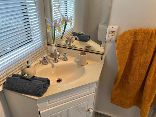 a bathroom with a sink and a mirror at Charm on Chippendale B&B in Palmerston North