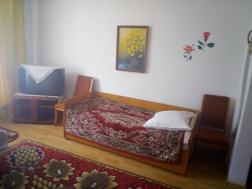 um pequeno quarto com uma cama e uma televisão em Затишна 1 кімнатна квартира Трускавець em Truskavets