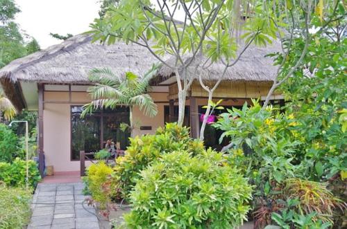 ein kleines Haus mit einem grünen Vogel auf einem Baum in der Unterkunft Sea World Club Beach Resort & Dive Center in Maumere