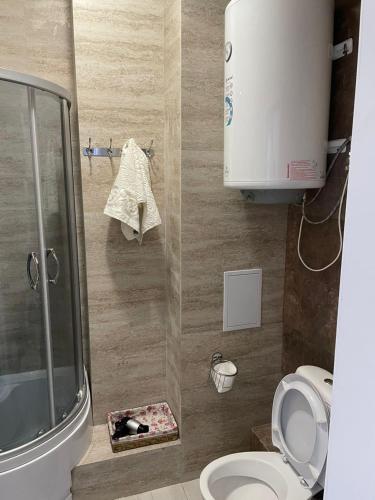 La petite salle de bains est pourvue d'une douche et de toilettes. dans l'établissement Raduga Issyk kul - Радуга Иссык куль, à Chon-Sary-Oy