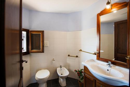 a bathroom with a sink and a toilet and a mirror at Castello Malicas in Galtellì