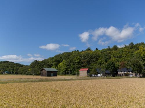 Un paisaje natural cerca de la casa vacacional