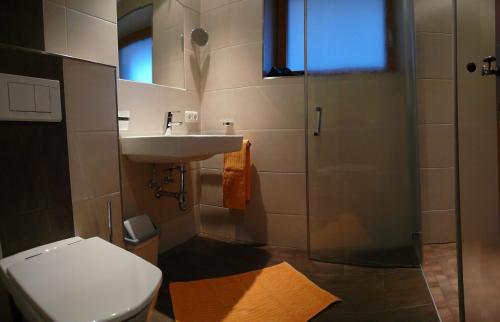 y baño con aseo, lavabo y ducha. en Haus Bellevue, en Längenfeld
