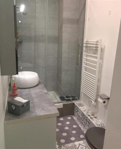 y baño con ducha, lavabo y aseo. en Alex Flats, en París