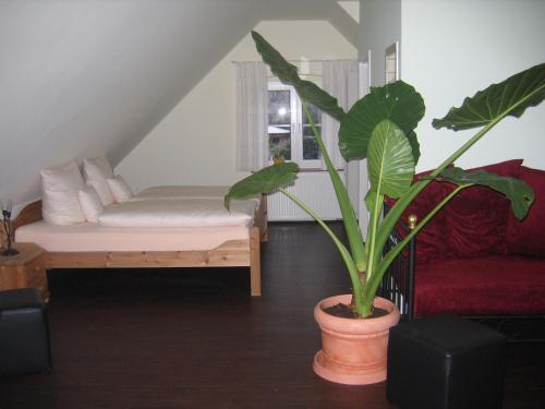 um quarto com uma cama e um vaso de plantas em Gästehaus Oswald em Forst