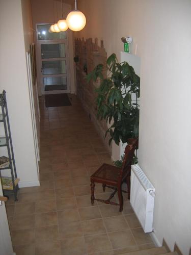 a hallway with a chair and a plant in a room at Gästehaus Oswald in Forst