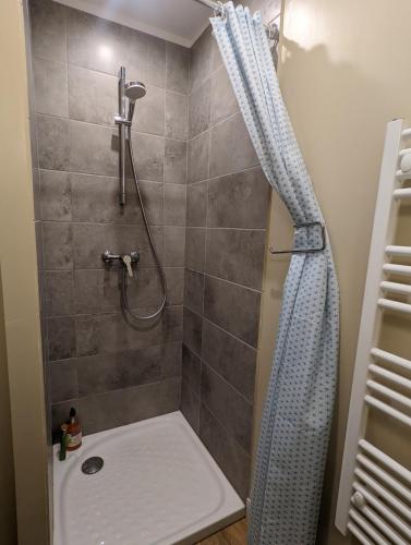 La salle de bains est pourvue d'une douche avec un rideau de douche bleu. dans l'établissement Le 5 bis, une maison de ville dans le centre historique, à Saint-Galmier