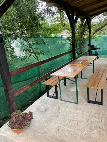 einen Picknicktisch und Bänke unter einem Pavillon neben dem Wasser in der Unterkunft Dock Cottage House in Bădeni