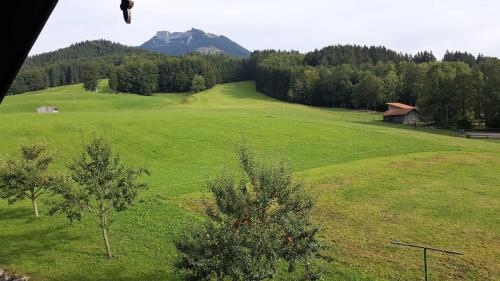un grand champ verdoyant avec une maison et une montagne dans l'établissement Maria Schnitzenbaumer, à Fischbachau