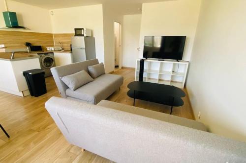 ein Wohnzimmer mit einem Sofa und einem TV in der Unterkunft Montpellier Antigone : Studio récent 4 personnes in Montpellier