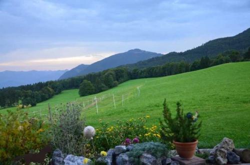a lush green field with plants in a garden at Hof Rossruck in Fischbachau