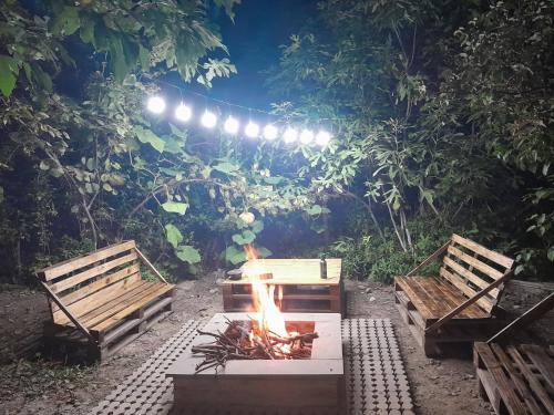two benches and a fire pit in a park at night at Nargizaanta in Gurjaani
