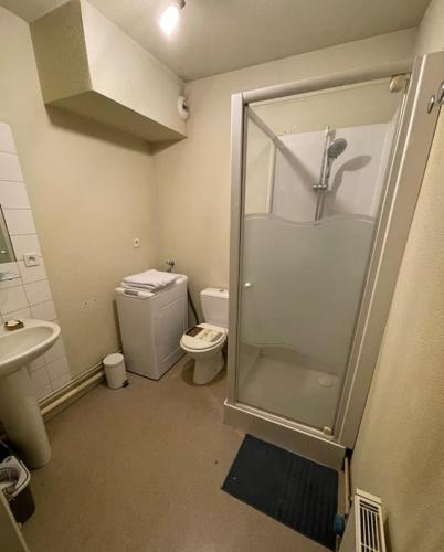 Koupelna v ubytování Logement LECOURBE