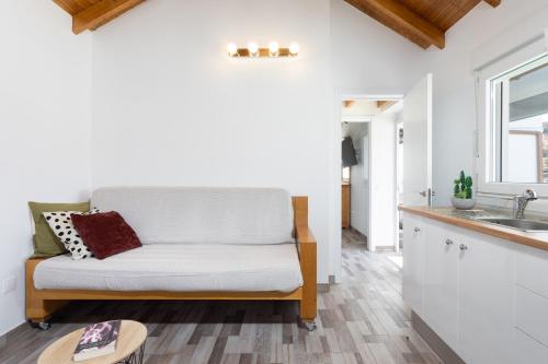 ein Wohnzimmer mit einem Sofa und einem Waschbecken in der Unterkunft Casa Isabela with Roque Nublo view in Tejeda