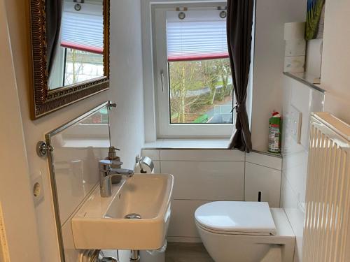 een badkamer met een wastafel, een toilet en een raam bij Ferienwohnung Dick in Schmallenberg
