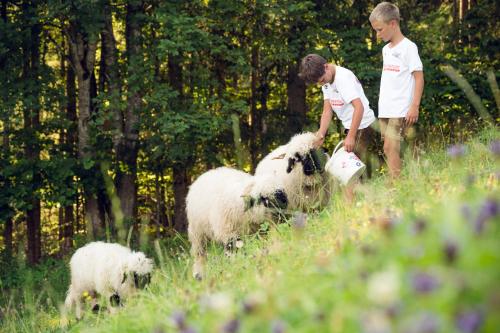 Děti v ubytování Familienbauernhof Samerhof