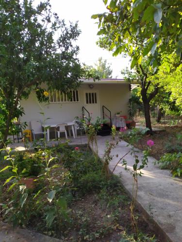 The Garden in AGIA VASSA ROOM