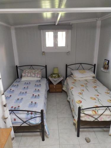 The Garden in AGIA VASSA ROOM