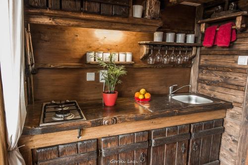 a kitchen with a sink and a stove at Tree House Gorski Lazi in Tršće