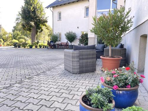 a patio with pots of flowers and plants at Ferienwohnung Lilie in Lübbenau