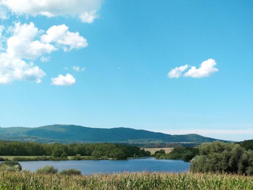 a view of a lake with mountains in the background at Chalet Karasova II by Interhome in Dehtáře