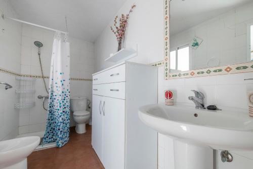 y baño con lavabo, aseo y espejo. en Encantadora casa de pueblo para 7 pax con gran Terraza, en Jimera de Líbar