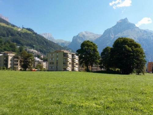 a green field with trees and mountains in the background at Apartment Erlenrain Wohnung 911 by Interhome in Engelberg